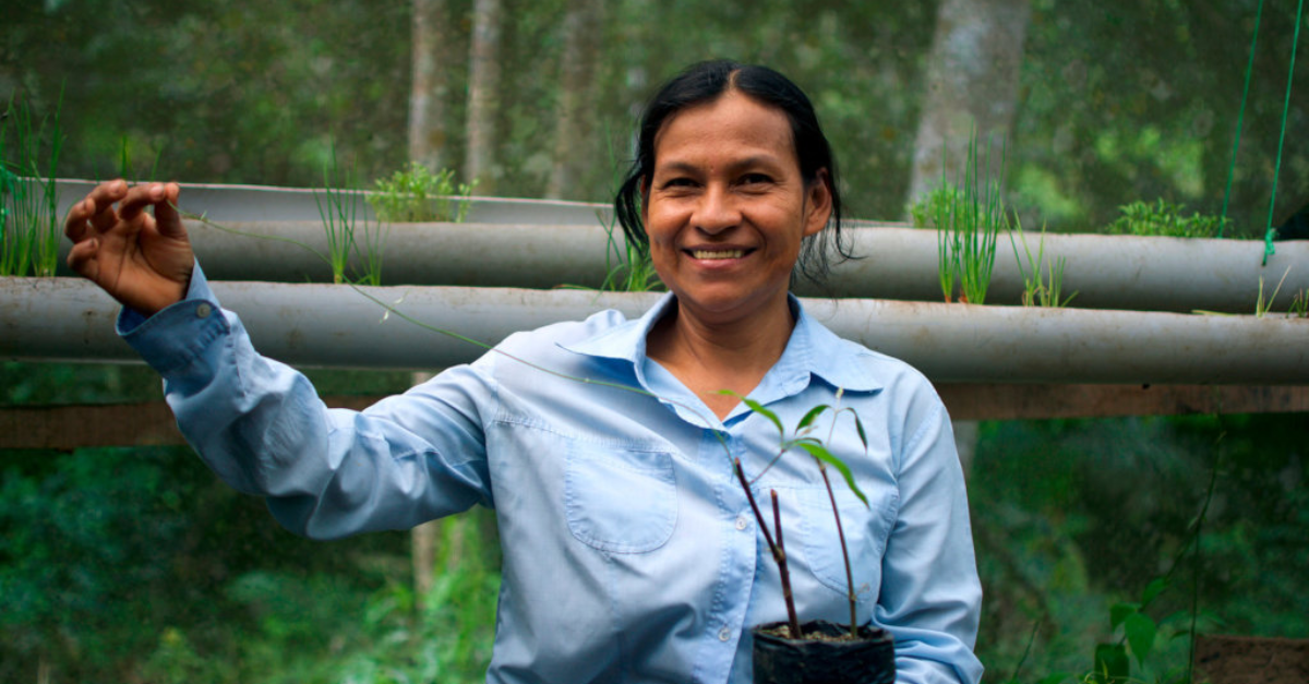 Traditional knowledge protects biodiversity in the Peruvian Amazon