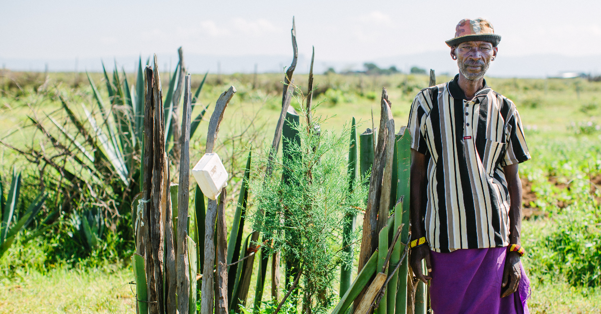 Building food security in Kenya