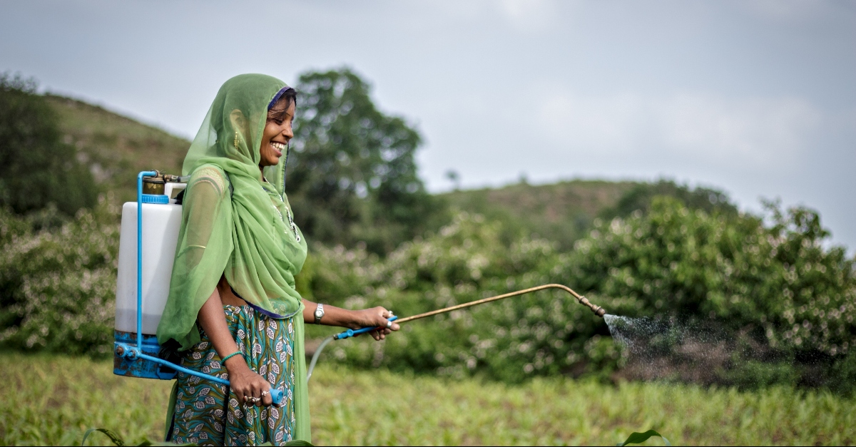 Women in India farming. Resources for environmental nonprofits.