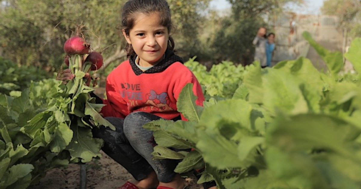 Child in her new family garden. Innovative solutions COVID-19