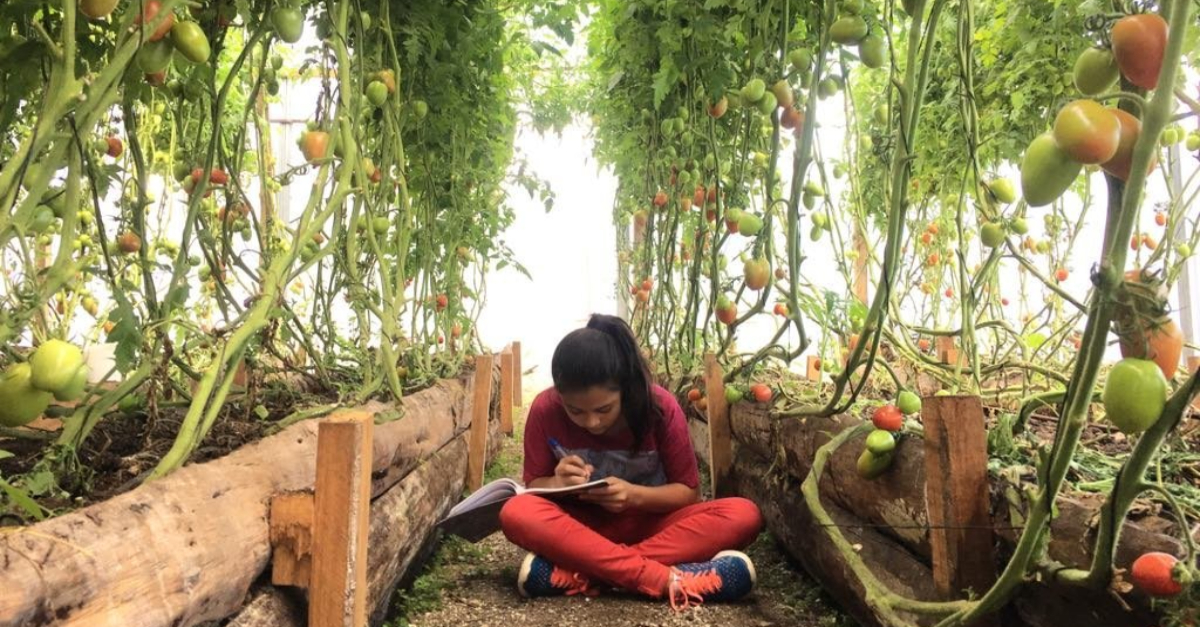 girl studying in an outdoor garden. nonprofit solutions.