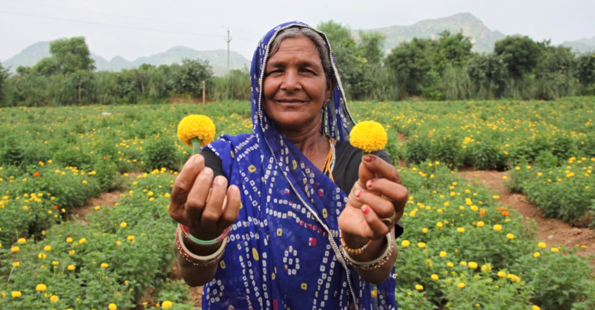 sustainable holiday gift