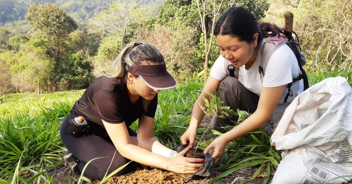 Two people planting a tree together.