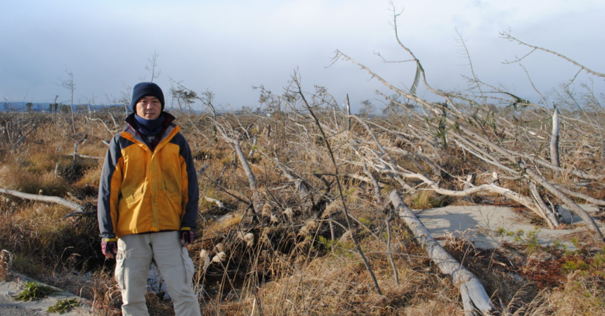The damaged Natori coastal forest. 