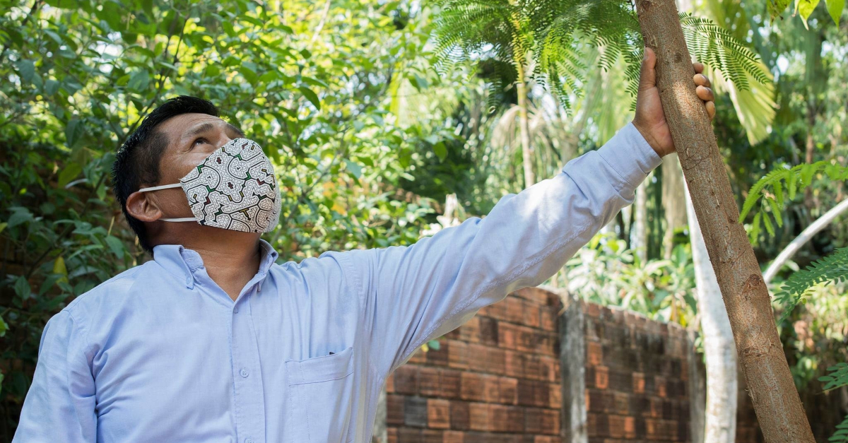 A man in a blue shirt and a mask holds the trunk of a tree