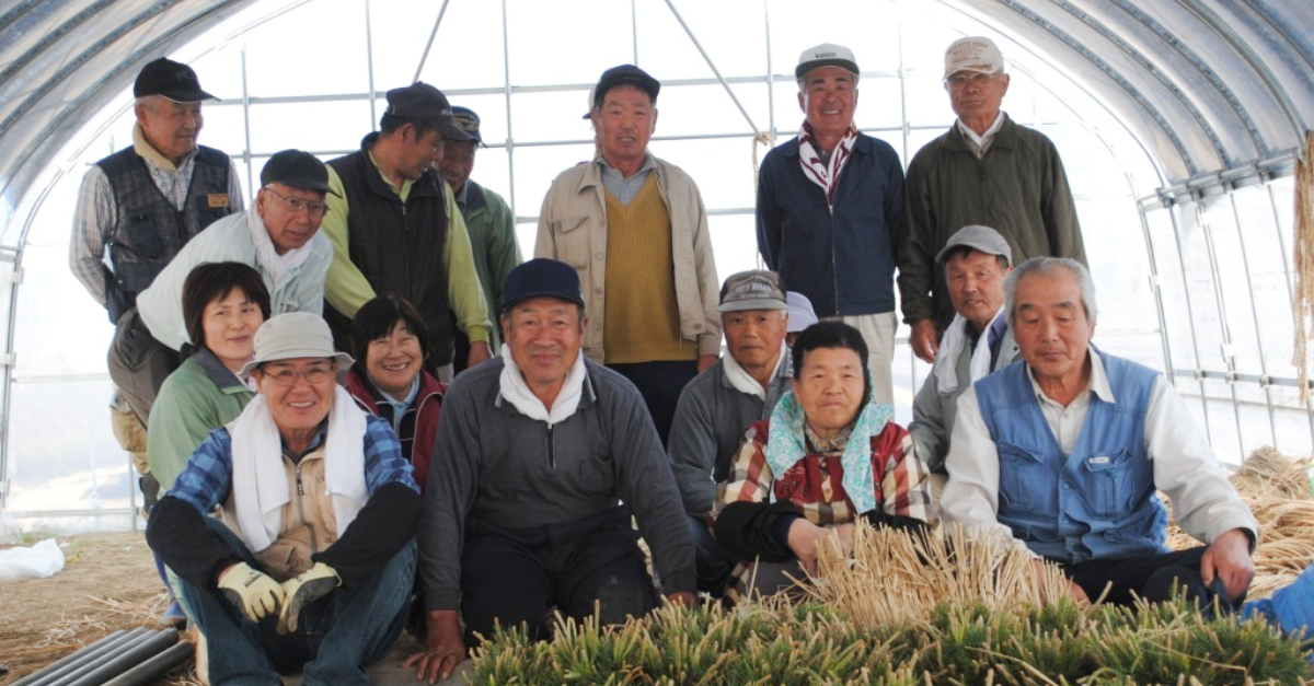 Survivors of the 2011 Tohoku earthquake and tsunami sitting together in the greenhouse. 