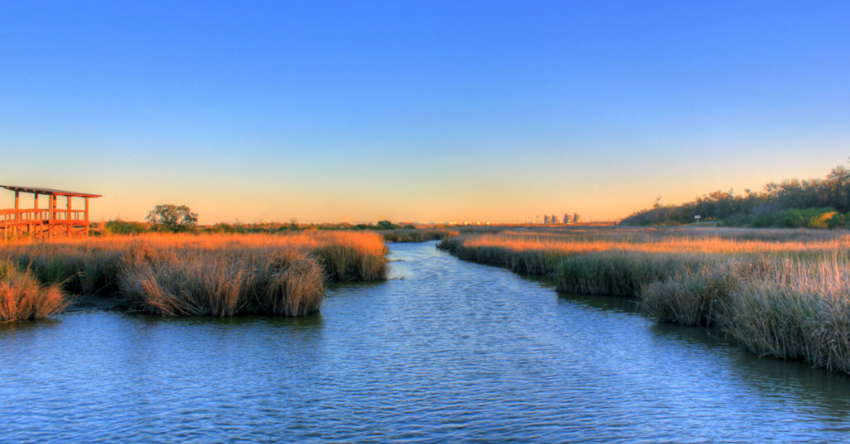 Wetlands in Houston, Texas 