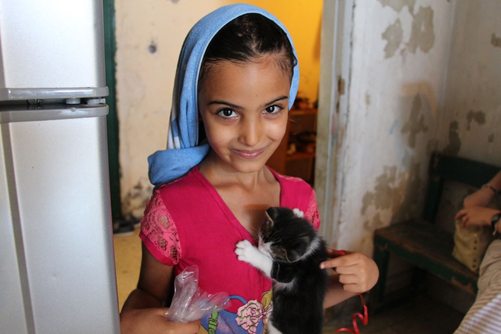 A young girl in a pink top holds a white and black kitten