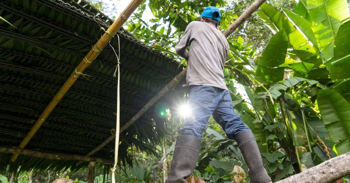 Climate wins. A man in rubber boots stands under a shelter of bamboo and leaves. He faces away from the camera as the sun peeks through the trees near his leg.