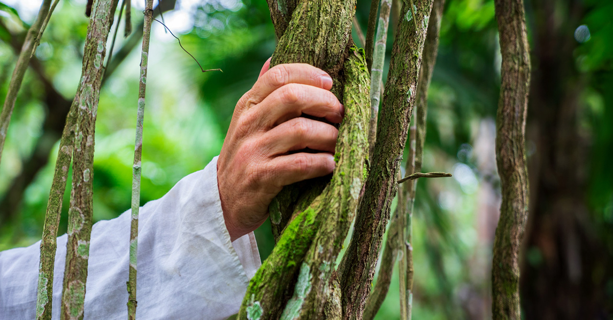 People protecting our planet include Juan José Consejo in Mexico.