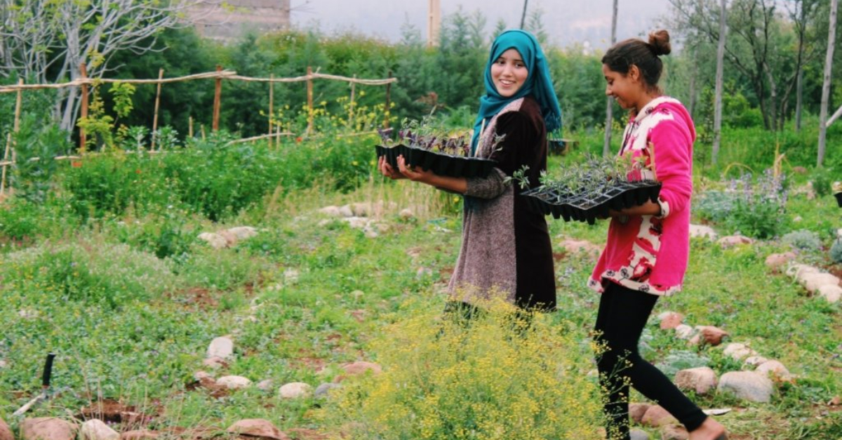 Two people are carrying a basket of seedlings in a community garden