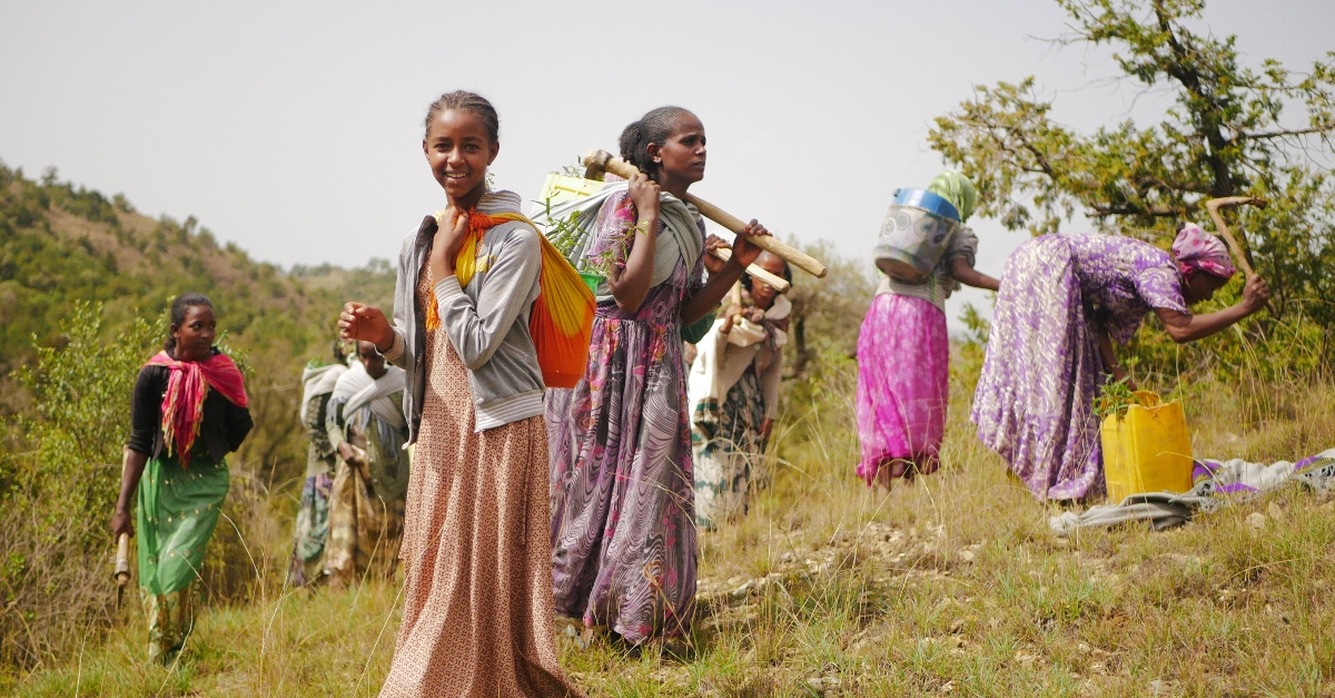 Women in long skirts use hoes and other tools to work in the garden on a hillside