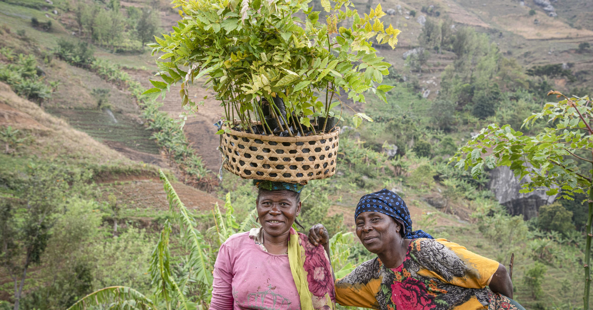 A woman carries plants in a basket on her head and stands next to a woman with her hand on her shoulder. Hilly fields are in the background. what does mutual aid mean?