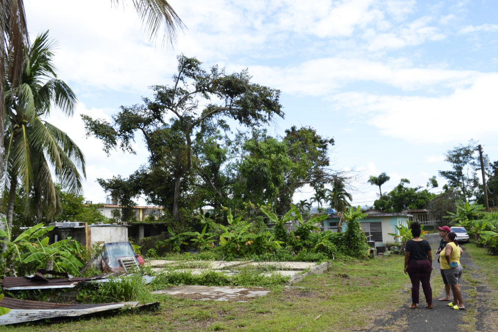 People stand on a gravel path looking at a concrete slab with pieces of sheet metal nearby. Trees are in the background.