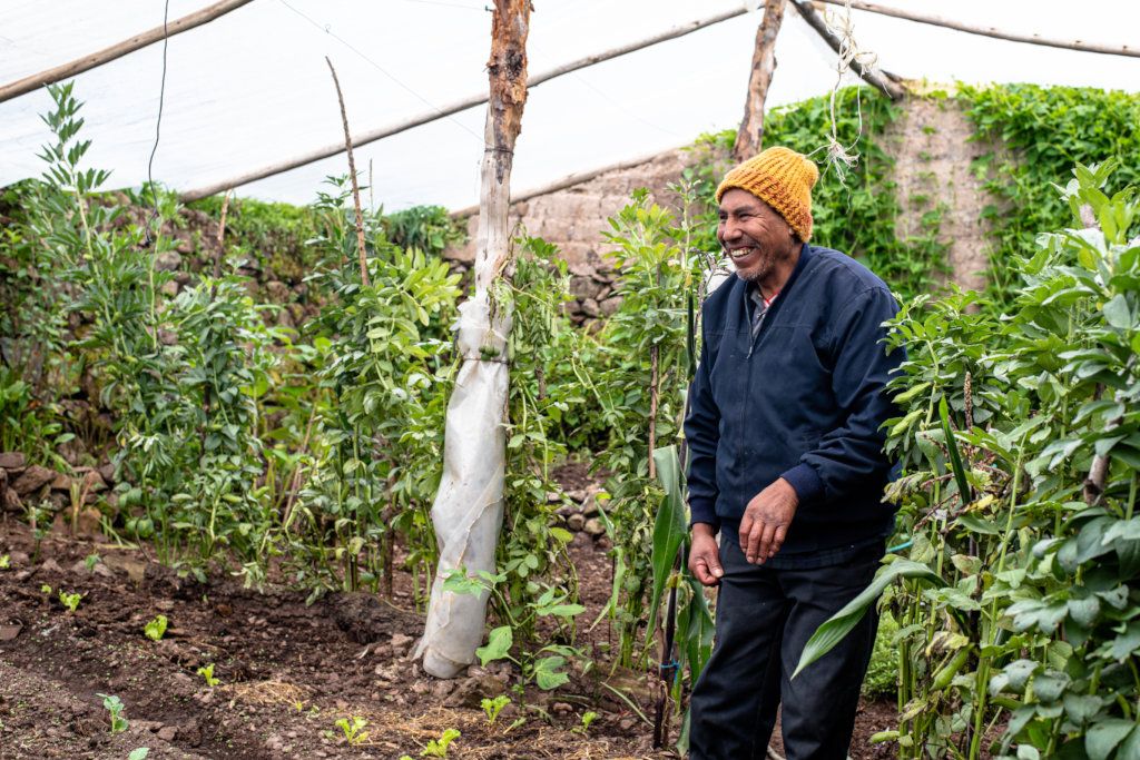 A man in a yellow knit hat, a blue jacket, and black pants stands smiling amid tall plants in a greenhouse