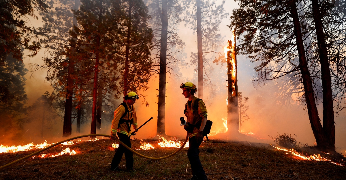 Two firefighters hold a hose and other tools as they battle a fire consuming the trees behind them during the California wildfires