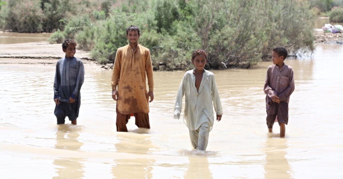 Four boys stand in brown, knee-high water from the Pakistan flood. Small bushes are in the background.