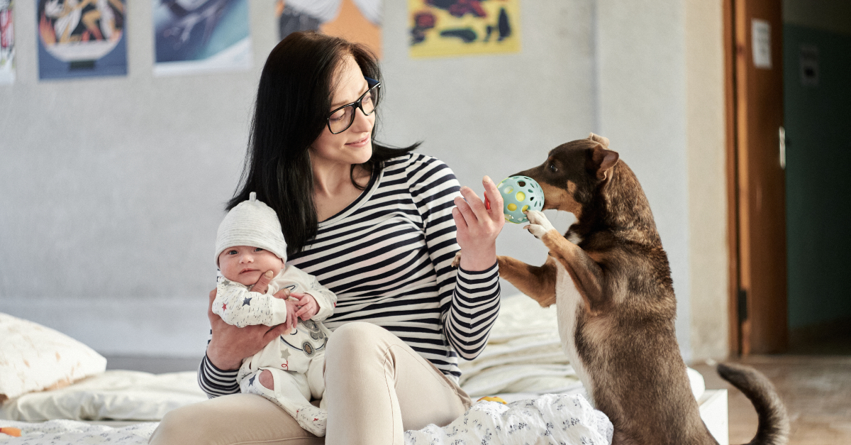 Woman sits on mattress in a room, holding infant while playing with a dog. ukraine war anniversary