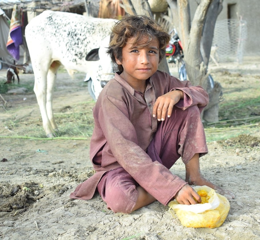A young boy in red clothes sits on the ground with one hand in a plastic bag filled with cooked rice. Livestock is in the background