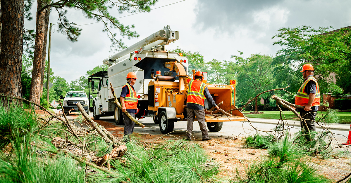 How to help Hurricane Idalia survivors by City of Greenville