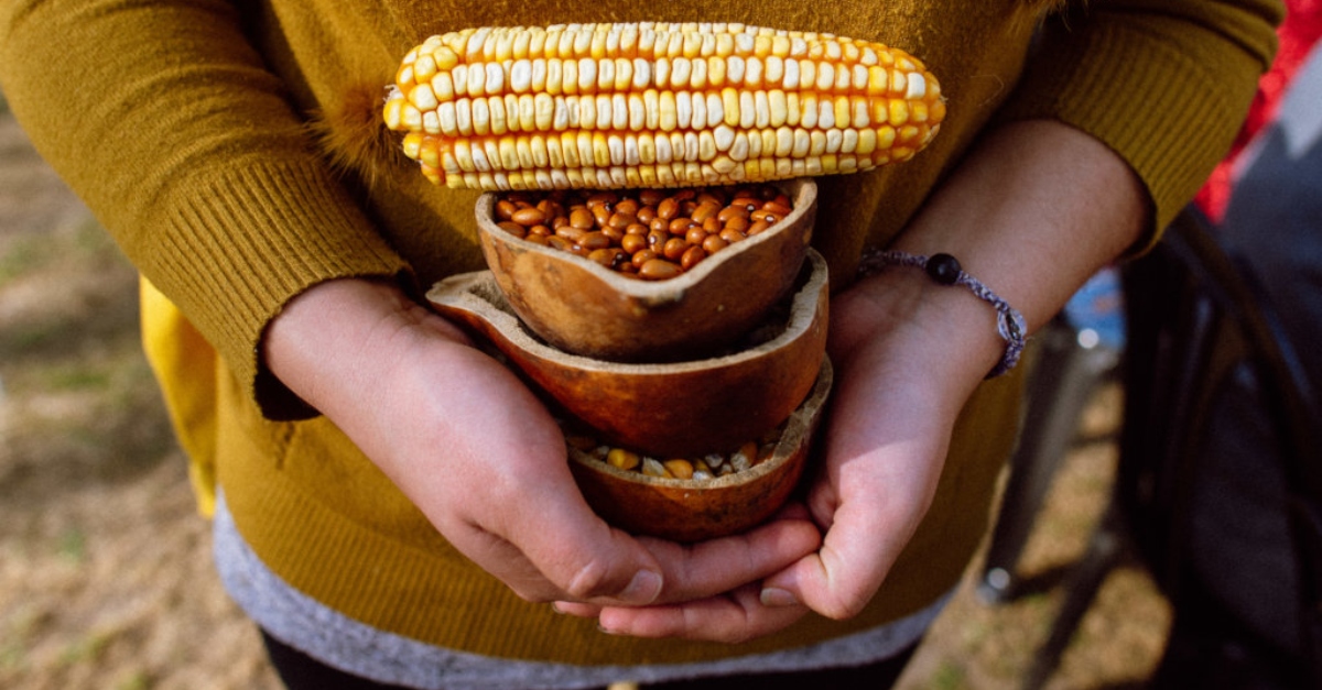 A person wearing a a brown sweater holds three stacked bowls filled with corn and beans. A corn cob sits on top of the stack.