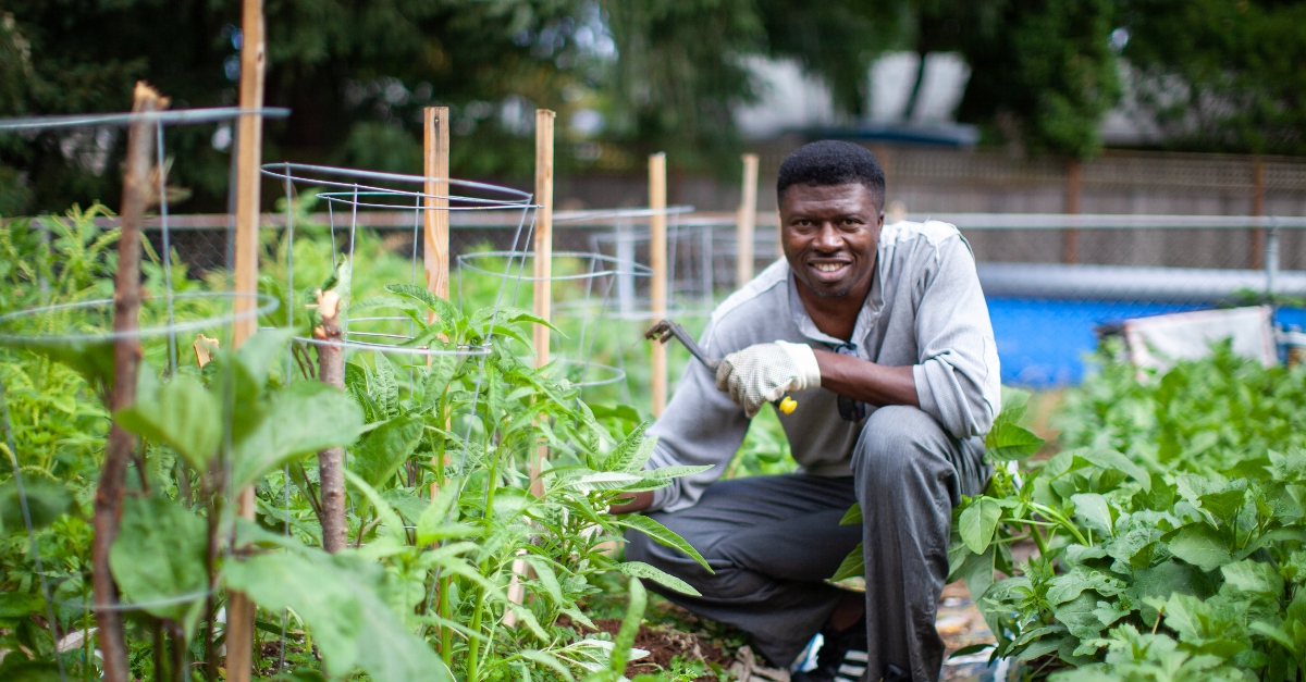 A person wearing gloves holds a gardening tool. Green plants supported by stakes and wire frames surround them.