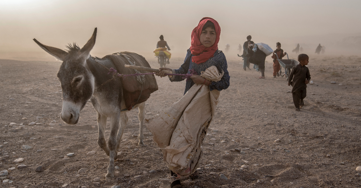 child and pack mule walk towards the camera in a sandstorm after the afghanistan earthquakes