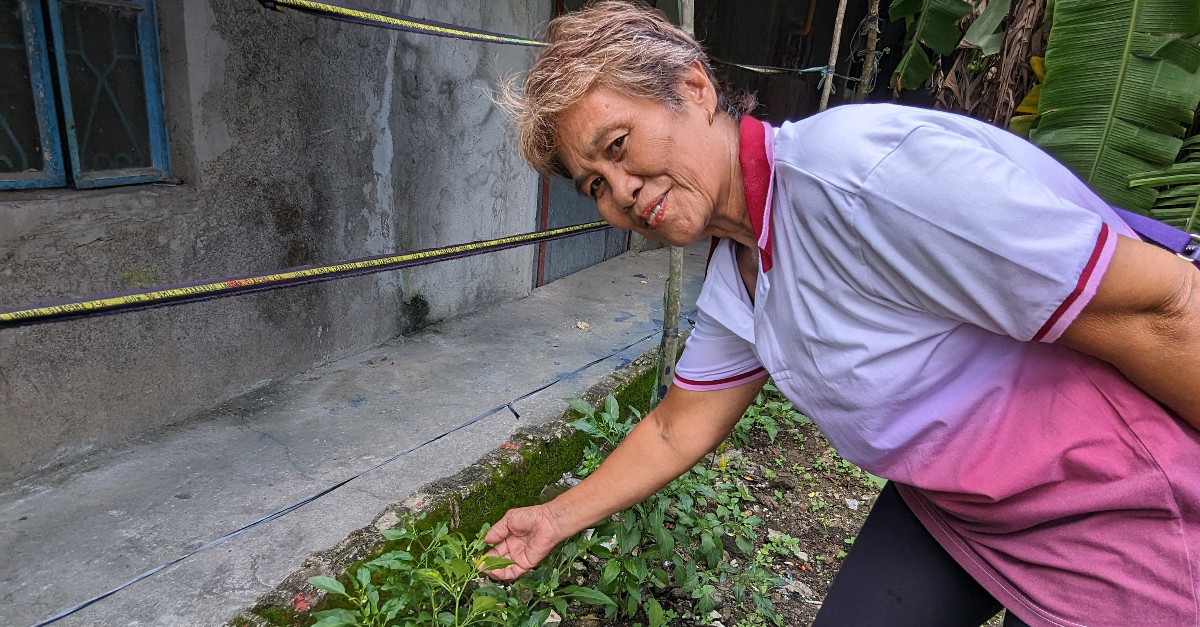 Women reaching for plant and smiling at the camera demonstrating community trust.