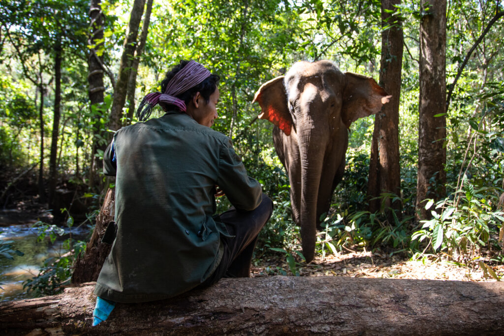caregiver and his elephant in sanctuary help animals this holiday season