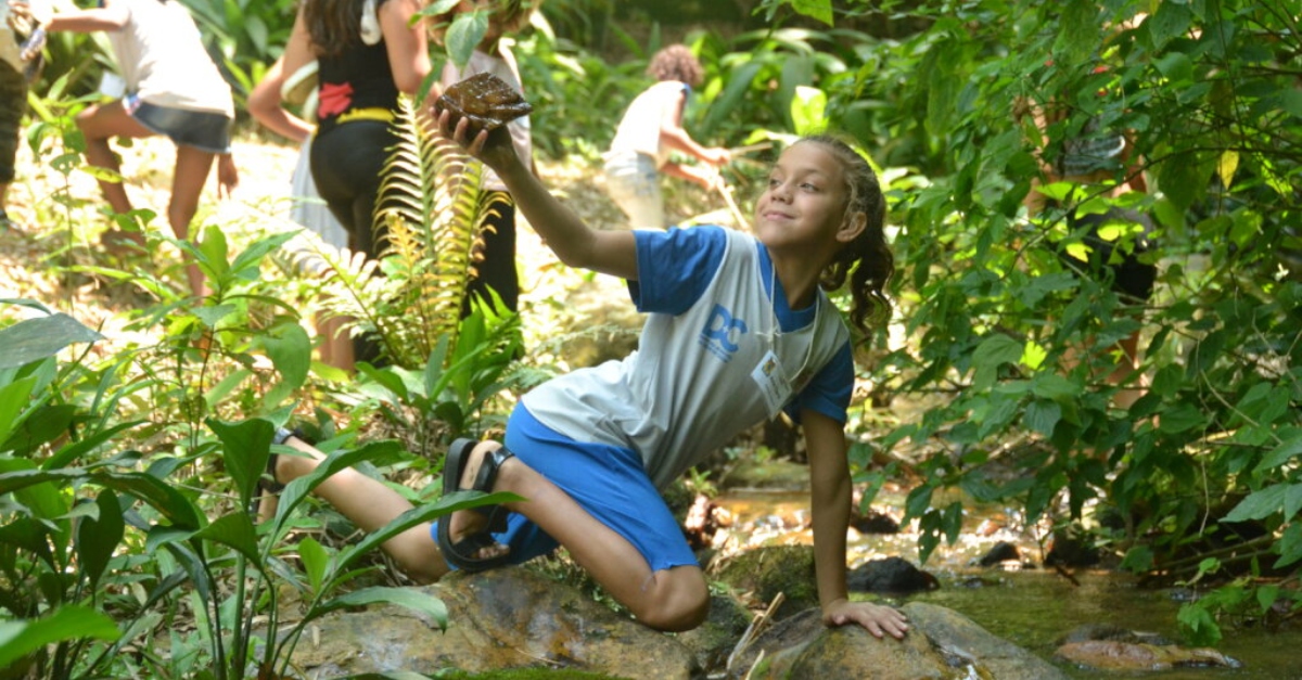 A child holding a seedling