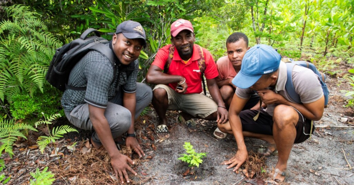 Planting a seedling in Madagascar