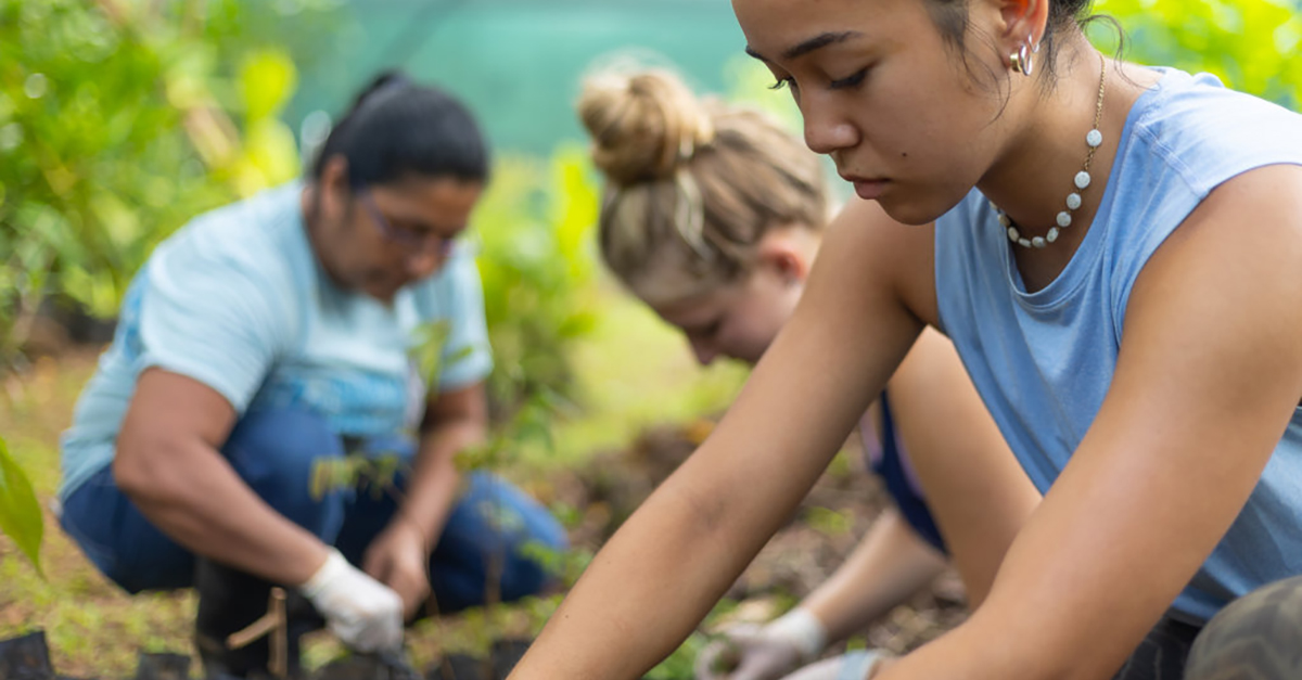 A group of three women plant in a garden. Photo by Corcovado Foundation.