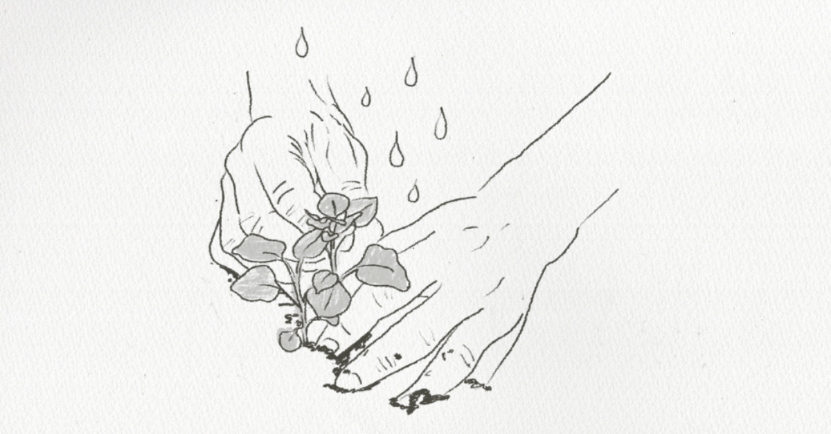 A sketch of a hand plant hand plants a seedling with water droplets falling