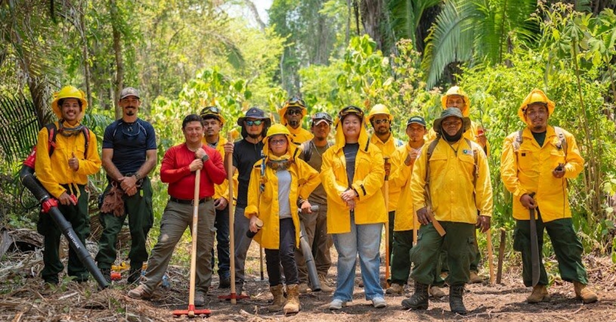 Fire preparers in Belize stand in yellow jackets in a forest