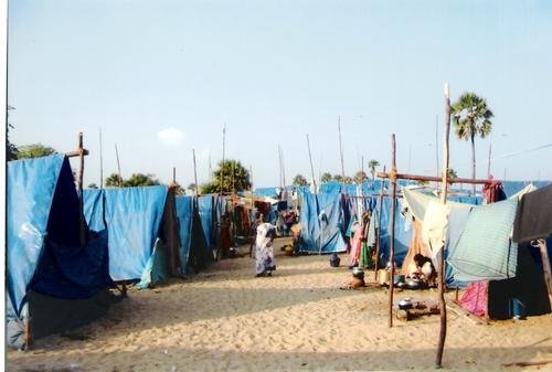 Skills Training for 250 Tsunami-Affected Women