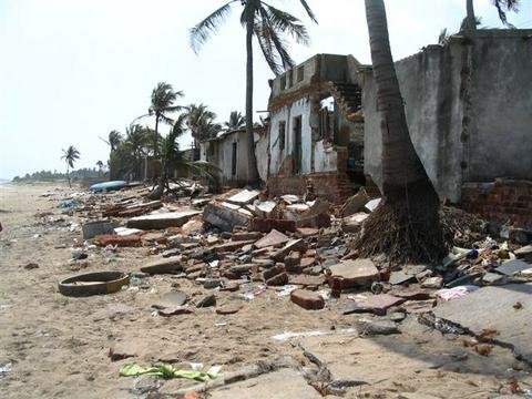 Skills Training for 250 Tsunami-Affected Women