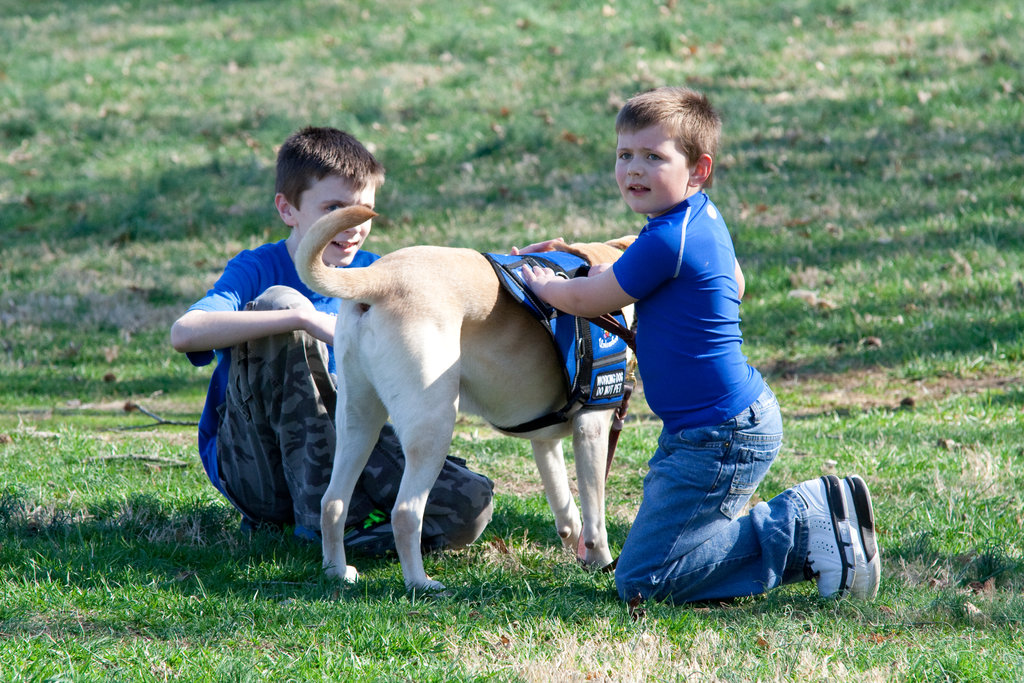 Turning Rescued Dogs Into Heroes