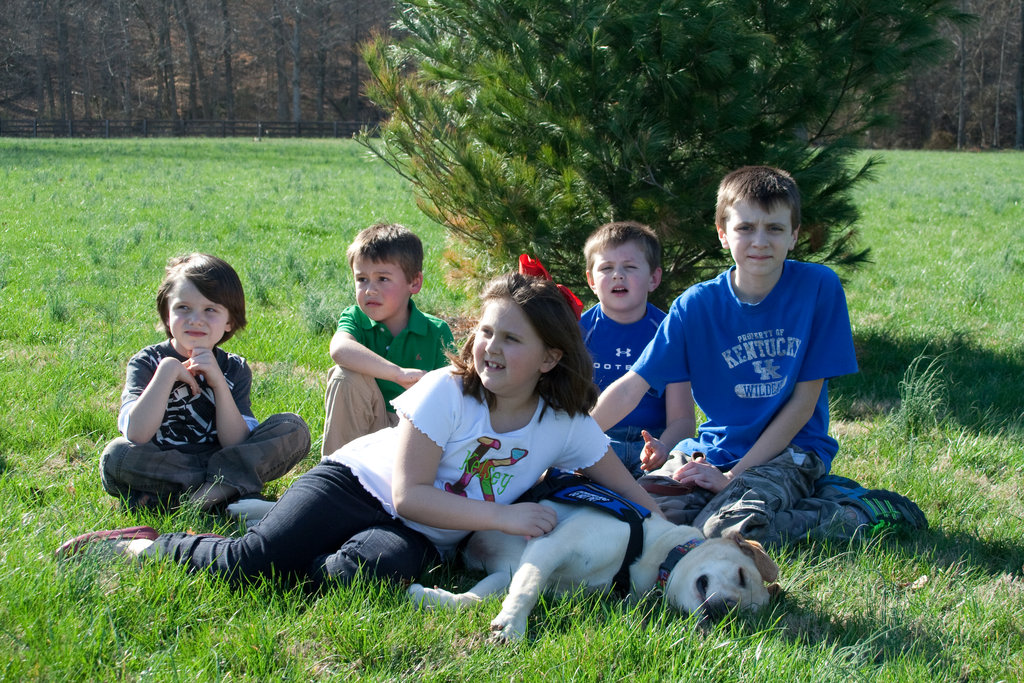 Turning Rescued Dogs Into Heroes