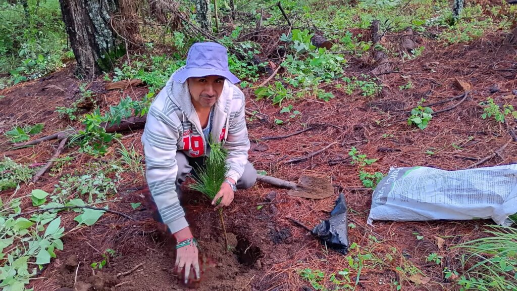 Man from Ejido S.J.. Zitacuaro reforesting
