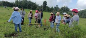 Youth from San Cristobal community reforesting