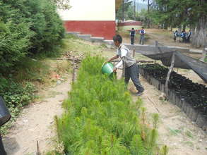 Tree Nursery in Alvaro Obregon Elementary School