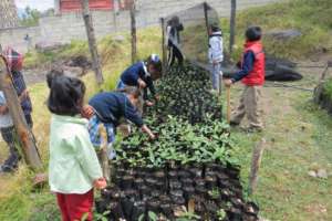 Kids work on their nursery at A.L. Mateos School