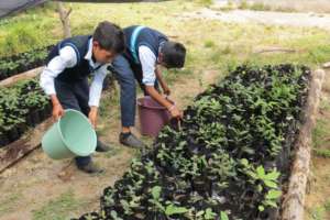 Kids water trees at A.Obregon Elementary School