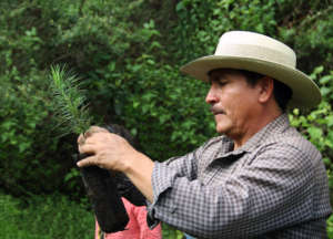 Instructor Anastacio shows planting techniques