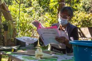 Medicinal plants workshop in N. Romero community