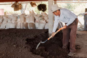 Making organic fertilizer