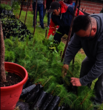 Men from N. Romero extract seedlings