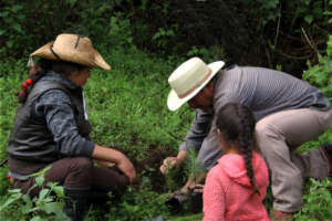 Anastacio helps a family in C.Morales to plant