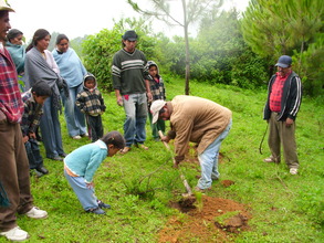 A family planting trees together
