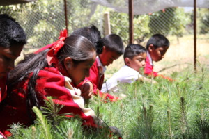 Children from El Santisimo working on nursery